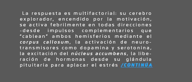megatendencias aplicadas